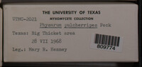 Image Associated With the Occurence